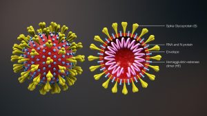 3D_medical_animation_corona_virus-300x169.jpg